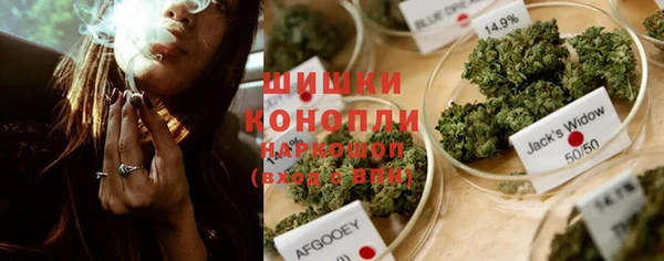 дурь Арсеньев